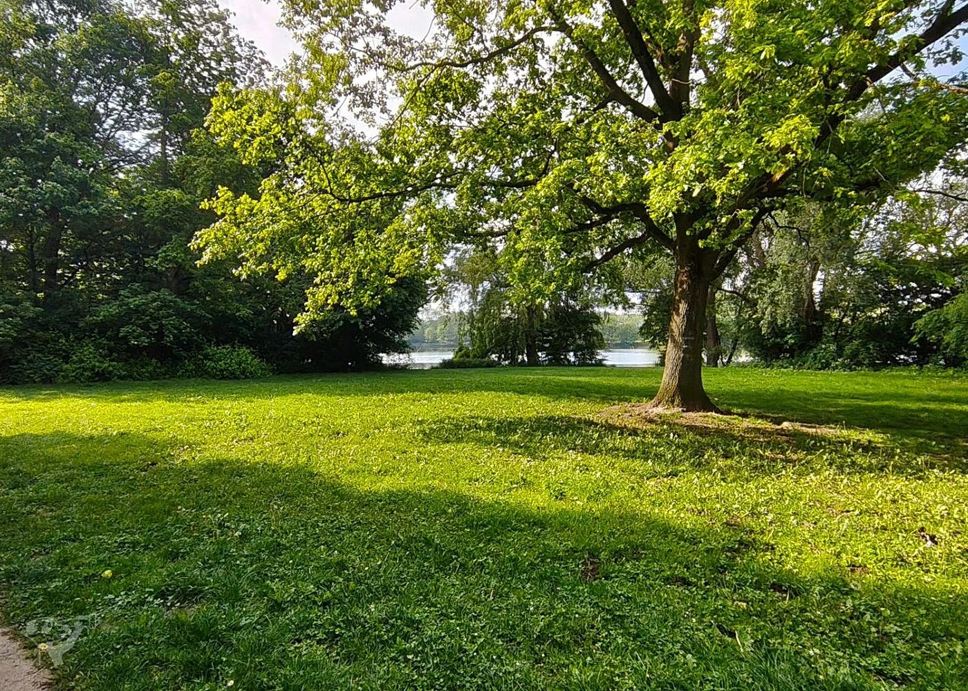 Wasserpark Dove-Elbe – Foto 9