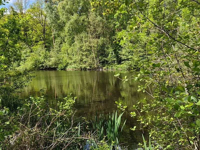 Naturschutzgebiet Raakmoor – Bild 6