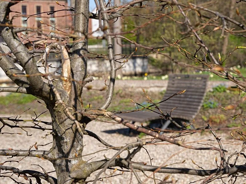 Spielplatz Wüstenwellen – Bild 8
