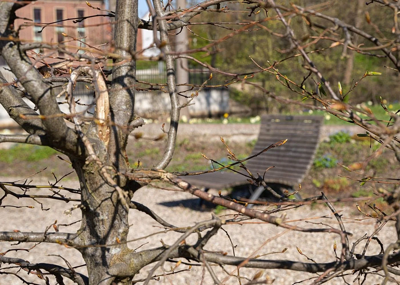 Spielplatz Wüstenwellen – Foto 8