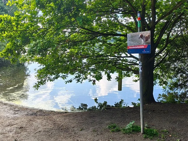 Wasserpark Dove-Elbe – Bild 15