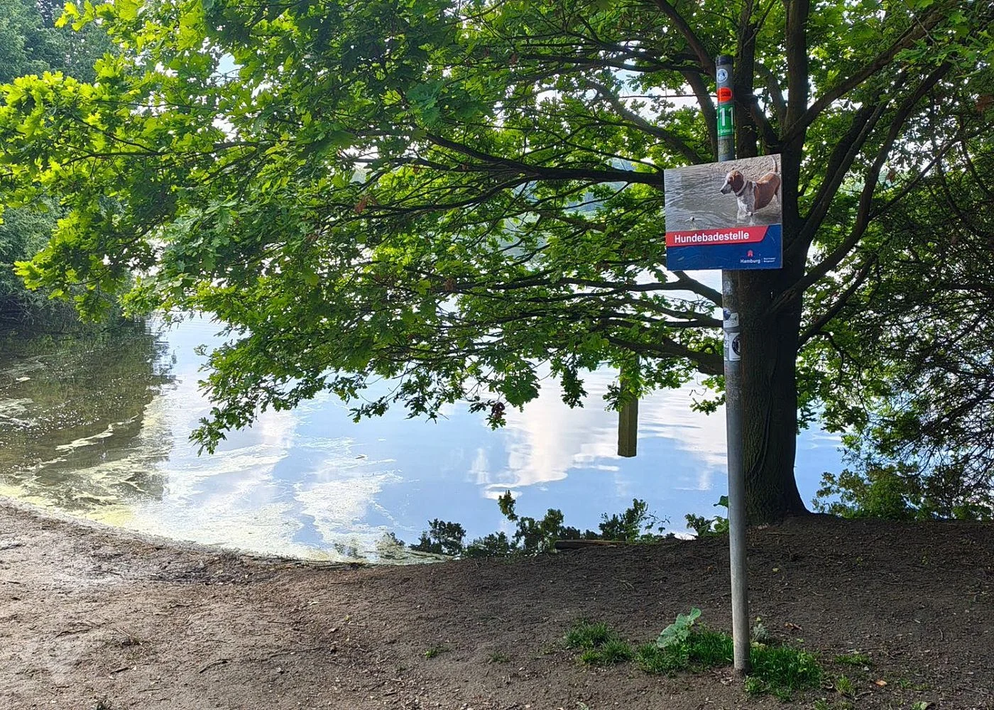 Wasserpark Dove-Elbe – Foto 15