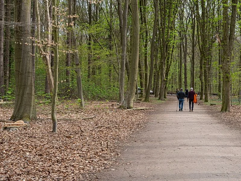 Niendorfer Gehege Lehrpfad – Bild 1