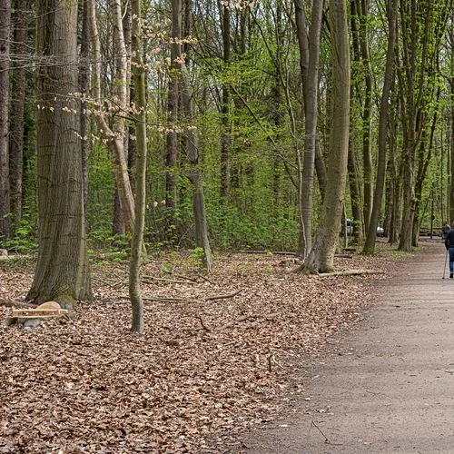 Niendorfer Gehege Lehrpfad