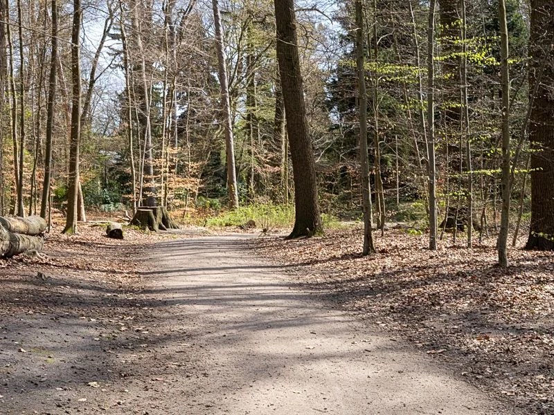 Drachenschlucht Wellingsbüttel – Bild 13