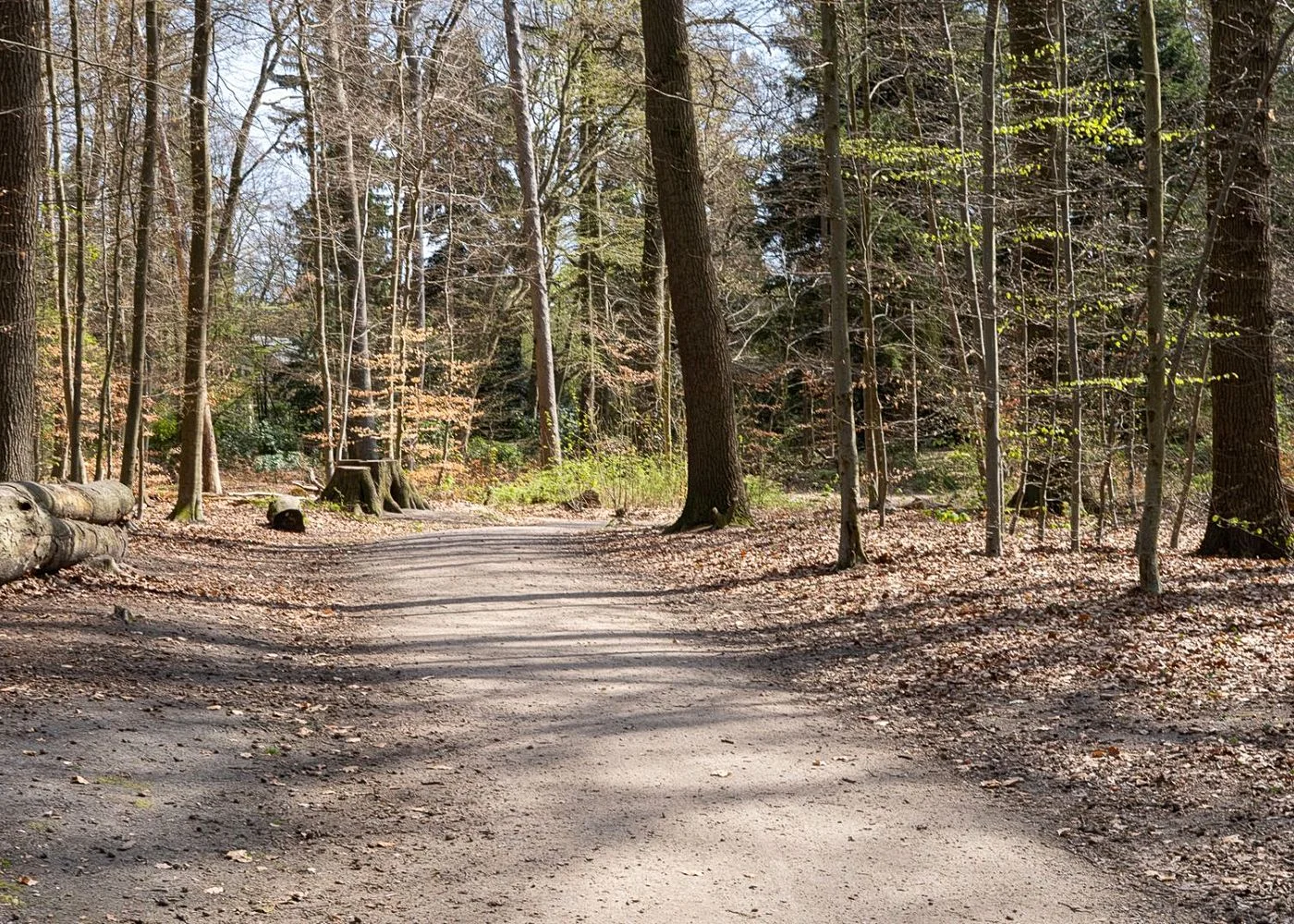 Drachenschlucht Wellingsbüttel – Foto 13