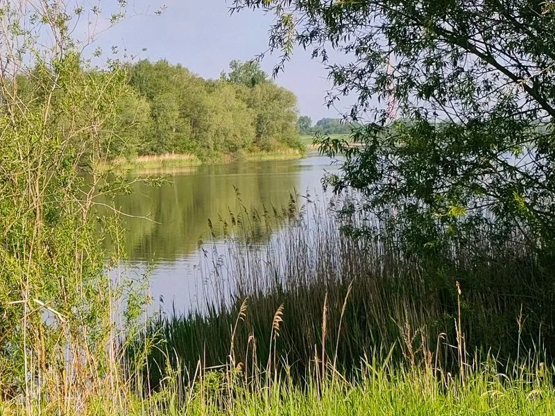 Hohendeicher See (Oortkatensee) – Bild 7