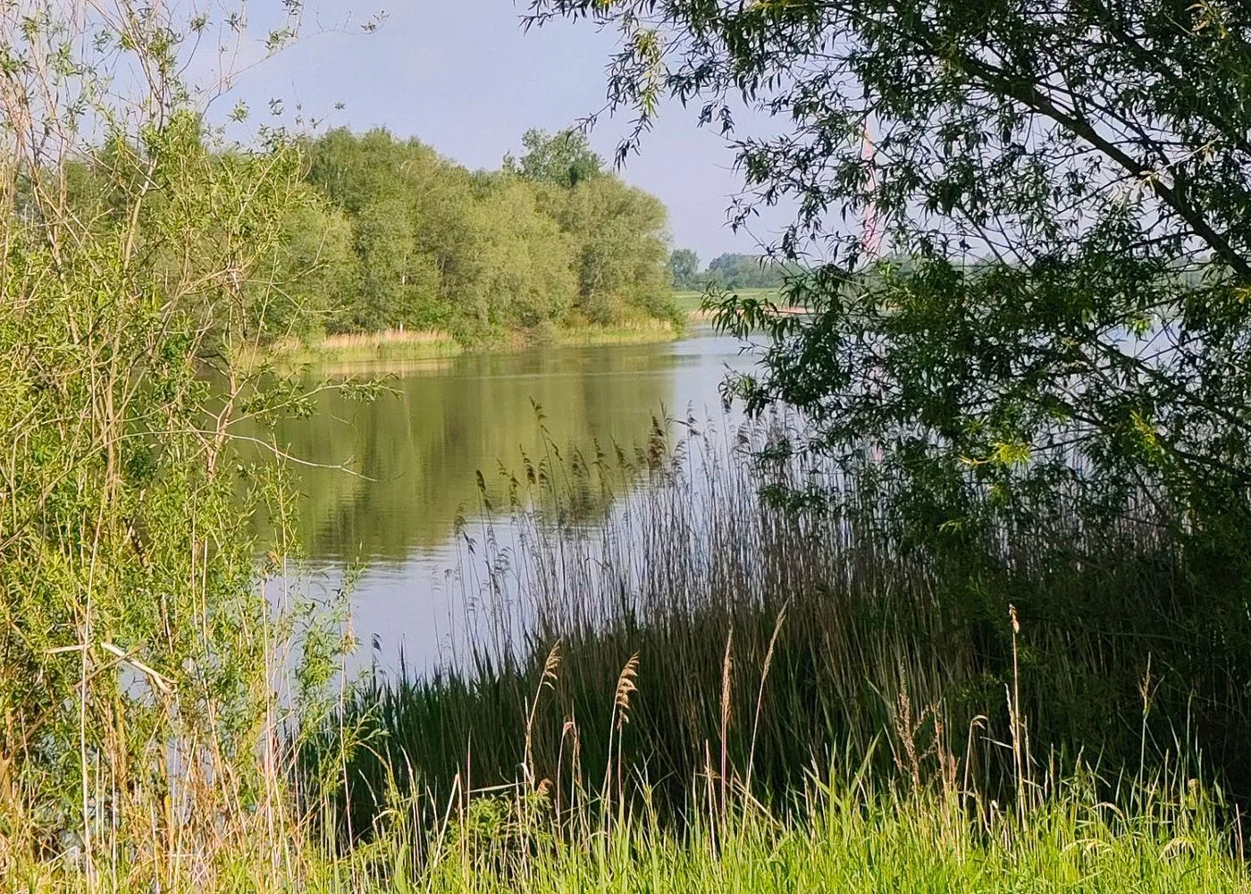 Hohendeicher See (Oortkatensee) – Foto 7