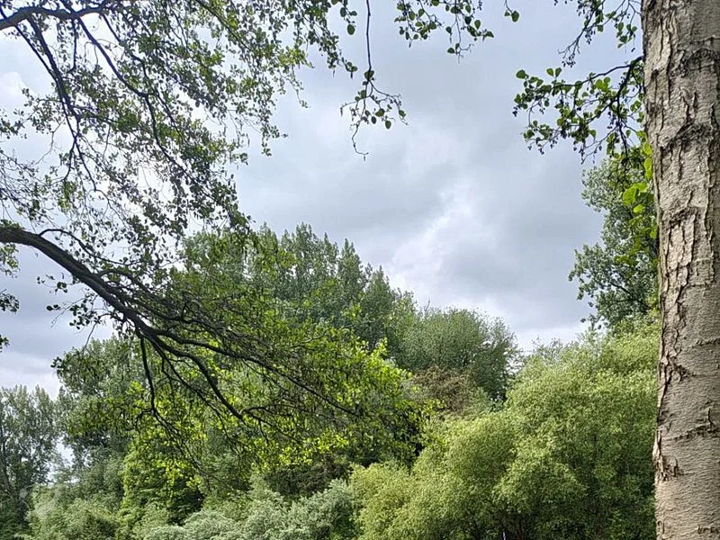 Eppendorfer Mühlenteich – Bild 9