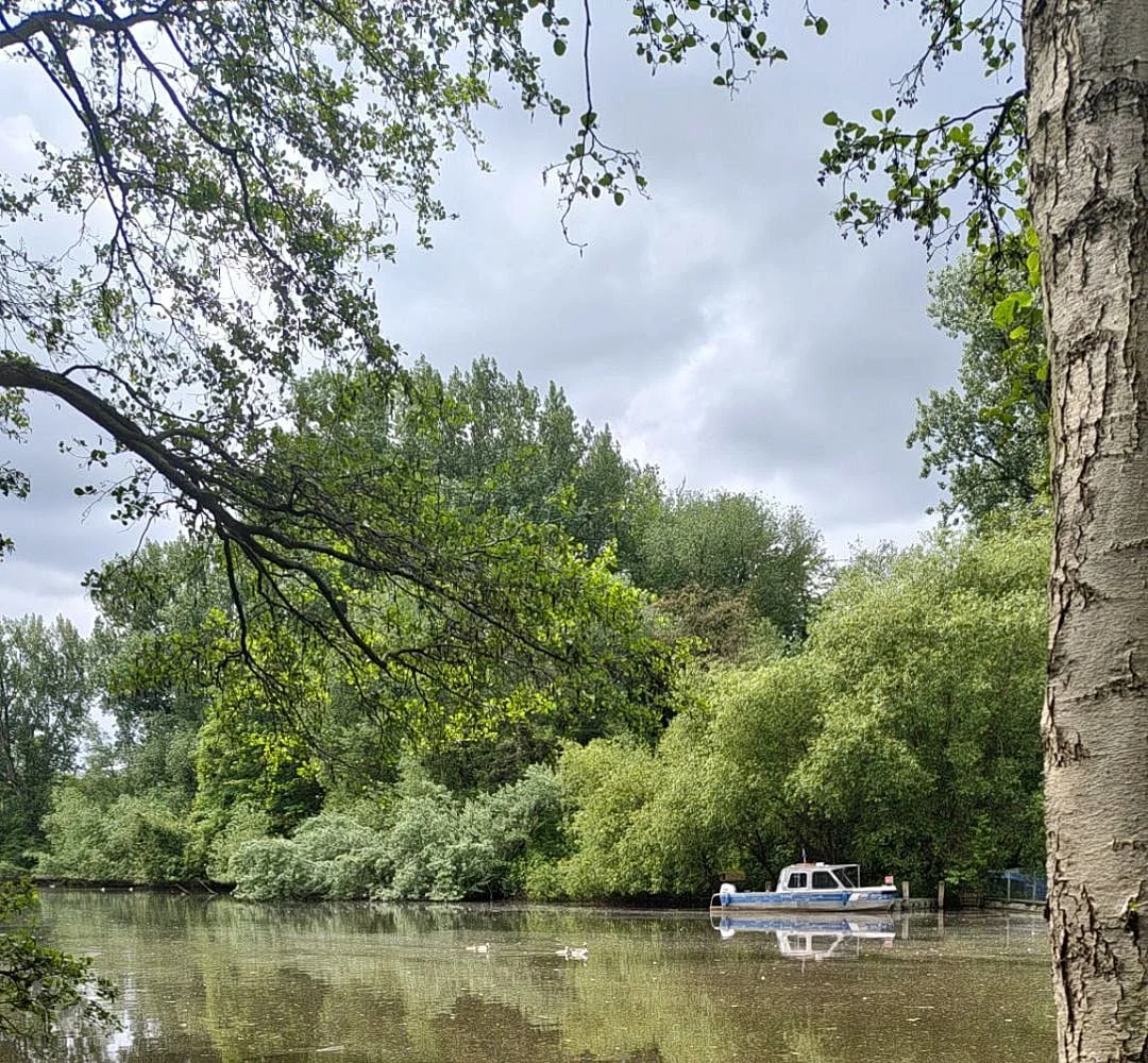 Eppendorfer Mühlenteich – Foto 8