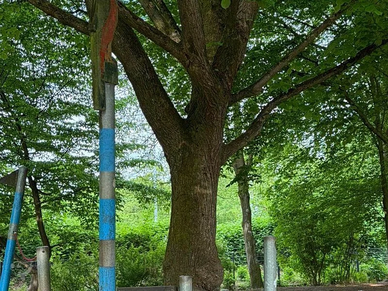 Piratenspielplatz Schnelsen – Bild 9