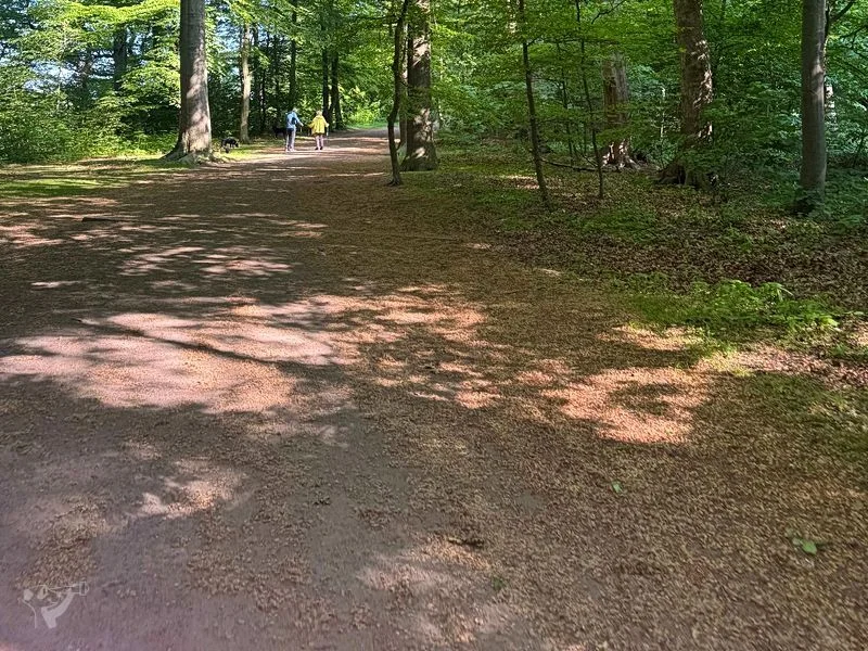 Hirschpark und Spielplatz – Bild 4