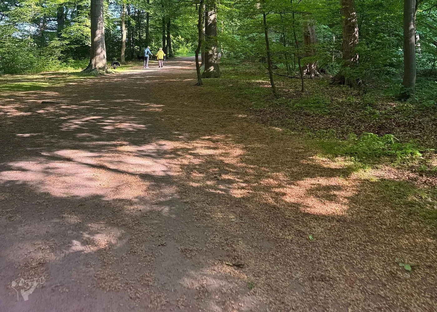 Hirschpark und Spielplatz – Foto 4