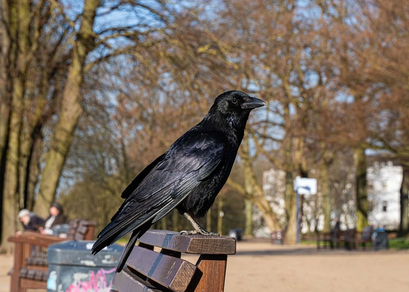 Altonaer Balkon – Foto 9