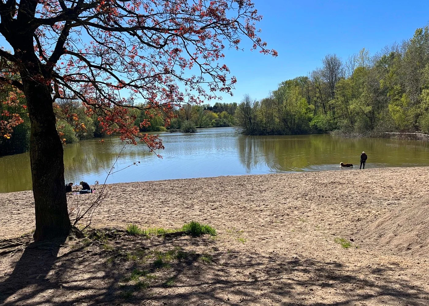 Mini Strand Niendorf Rahweg/Bayernweg – Foto 5