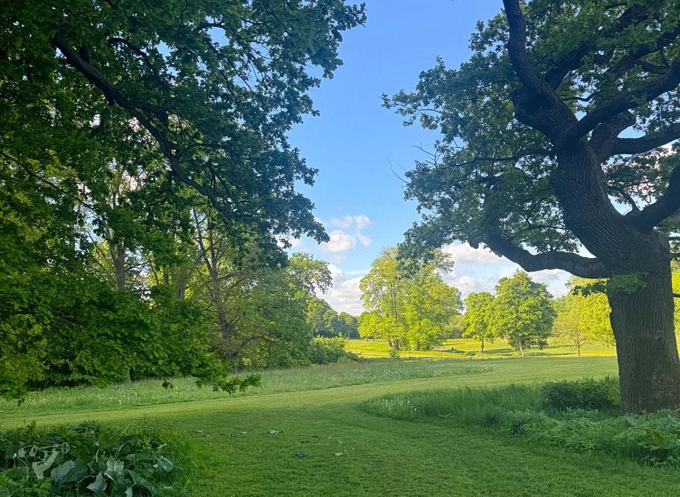 Spielplatz im Jenischpark – Foto 17