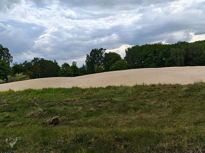 Boberger Dünen – Bild 5
