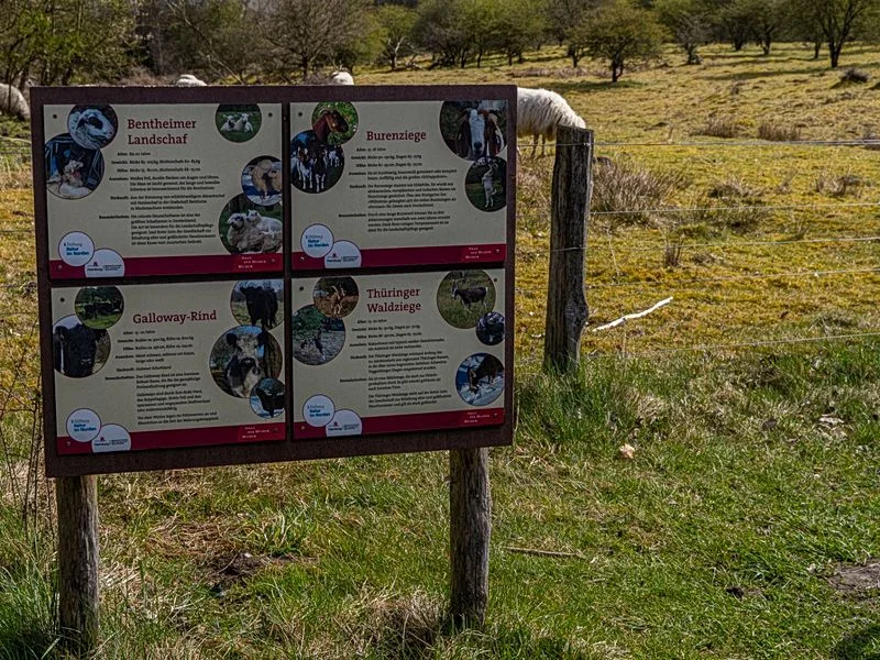 Naturschutzgebiet Höltingbaum – Bild 7