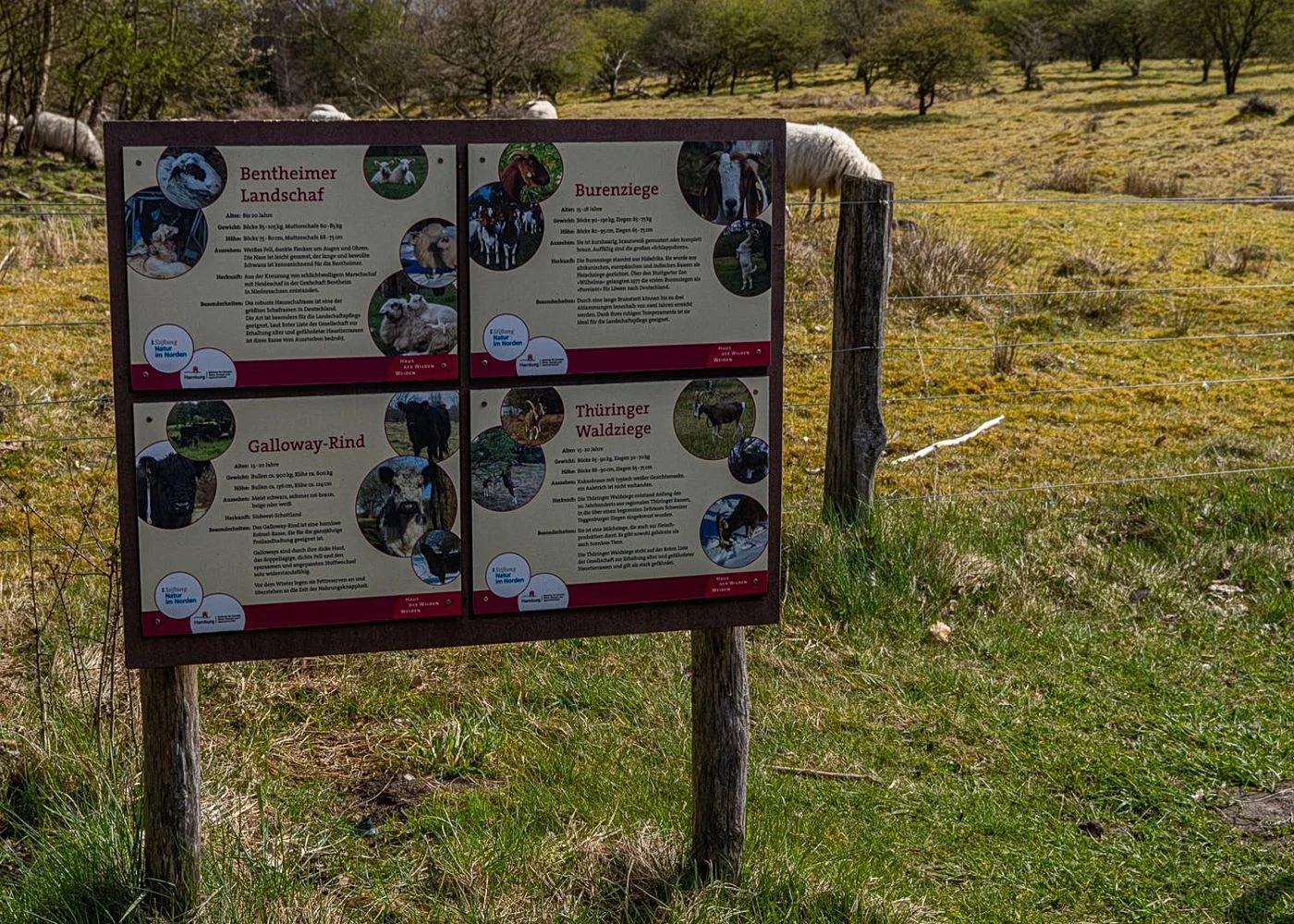 Naturschutzgebiet Höltingbaum – Foto 7